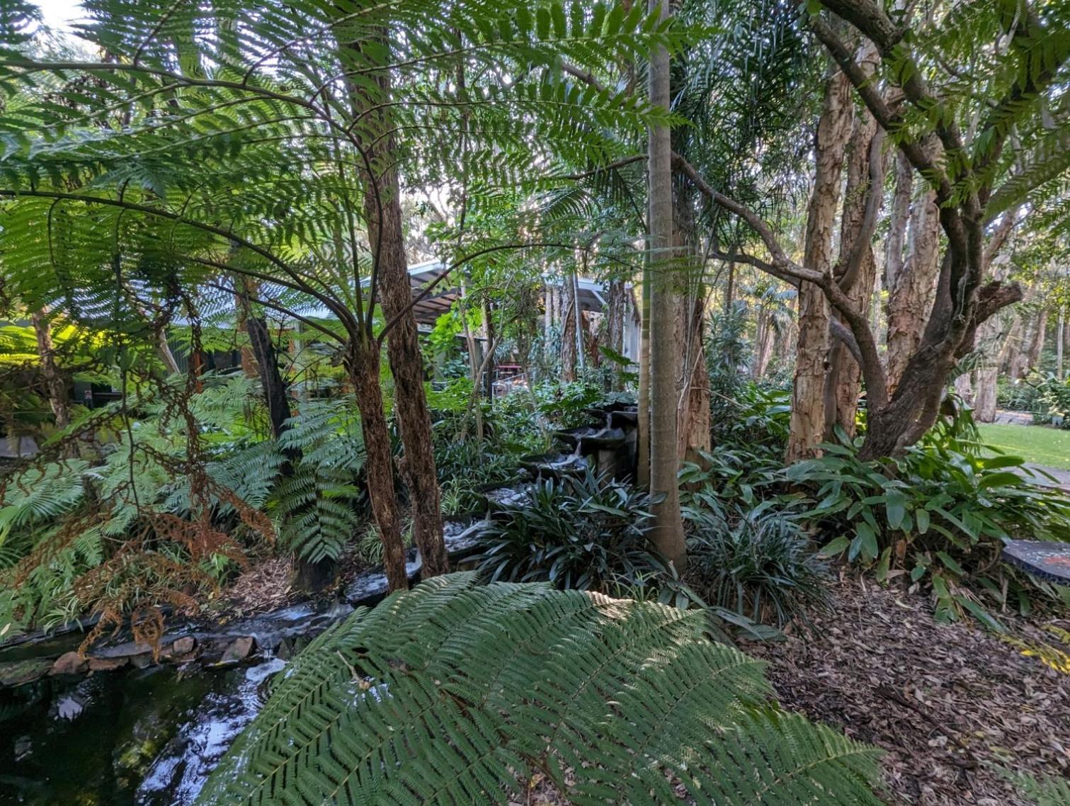 The Oasis At One Mile Beach Aparthotel Nelson Bay Exterior foto